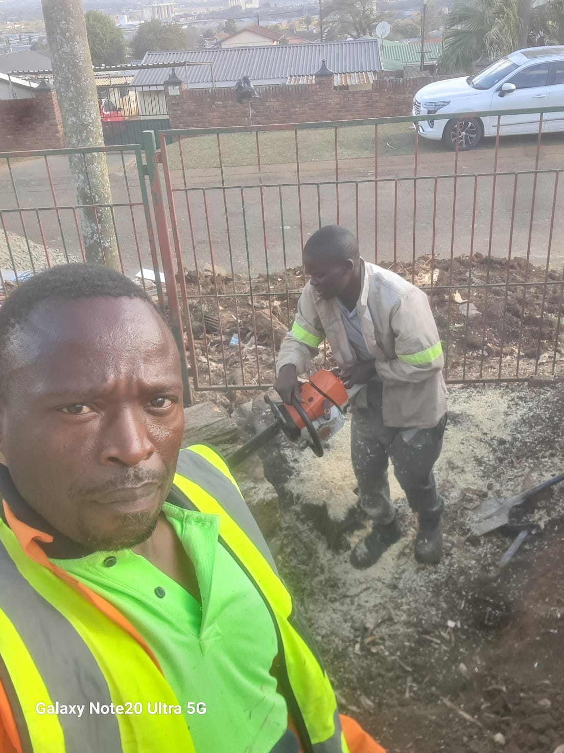 MMT Tree Felling team on site
